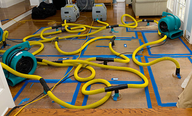 Professional Crawl Space Water Removal technician working in Rockford, OH